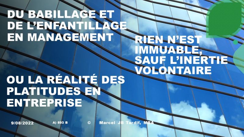 Lire la suite à propos de l’article Du babillage et de l’enfantillage en management