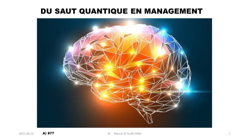 Lire la suite à propos de l’article Du saut quantique en management