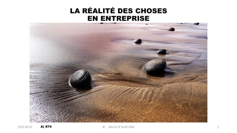 Lire la suite à propos de l’article La réalité des choses en entreprise