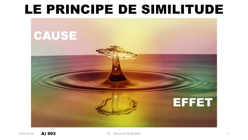 Lire la suite à propos de l’article Le principe de similitude