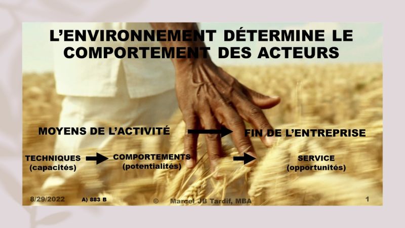 Lire la suite à propos de l’article L’environnement détermine le comportement des acteurs