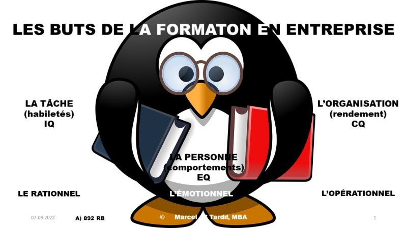 Lire la suite à propos de l’article Les buts de la formation en entreprise