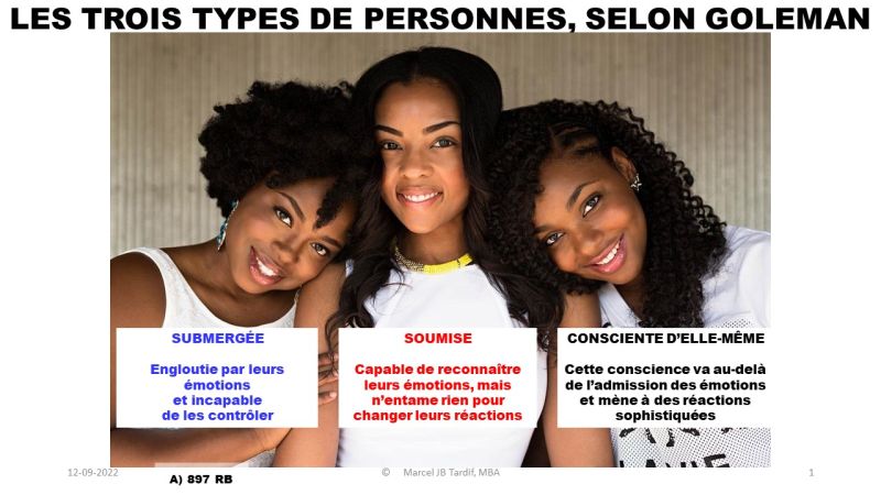 Lire la suite à propos de l’article Les trois types de personnes, selon Goleman