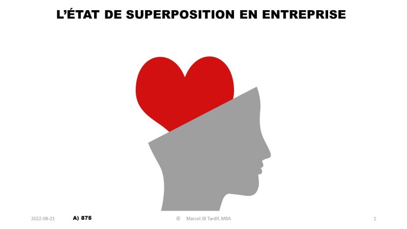 Lire la suite à propos de l’article L’état de superposition en entreprise