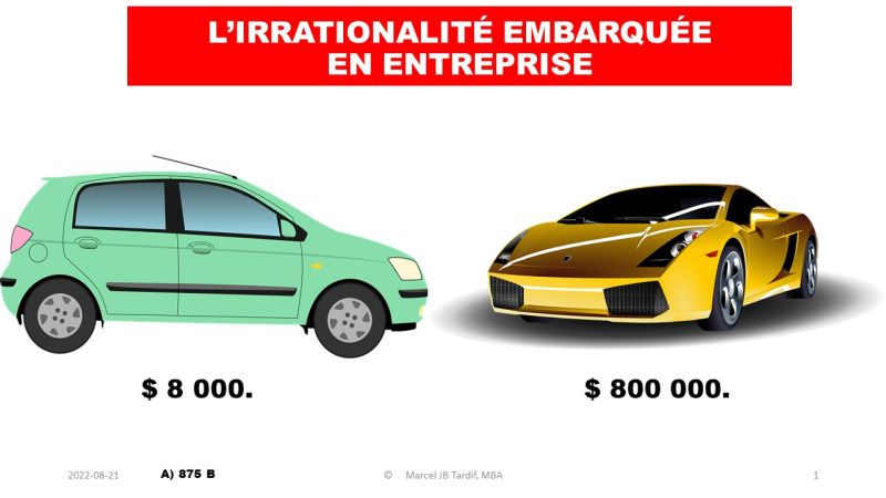 Lire la suite à propos de l’article L’irrationalité embarquée en entreprise