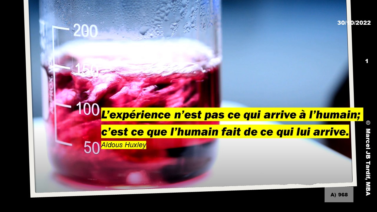 Lire la suite à propos de l’article L’expérience n’est pas ce qui arrive à l’humain; c’est ce que l’humain fait de ce qui lui arrive