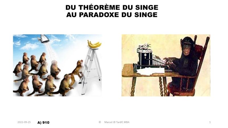 Lire la suite à propos de l’article Du théorème du singe au paradoxe du singe