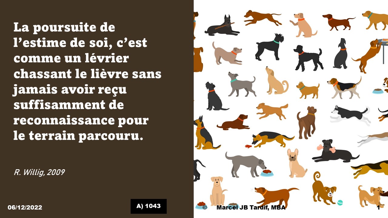 You are currently viewing La poursuite de l’estime de soi, c’est comme un lévrier chassant le lièvre sans jamais avoir reçu suffisamment de reconnaissance pour le terrain parcouru