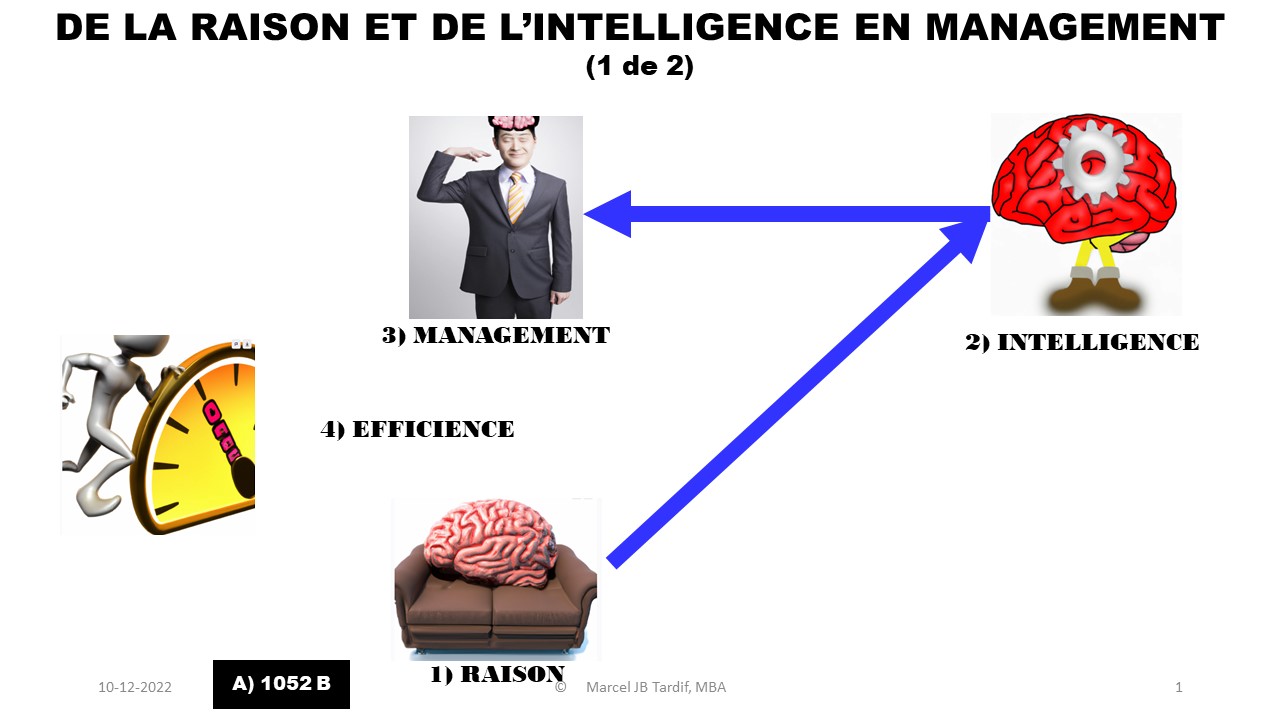 You are currently viewing <strong>De la raison et de l’intelligence des choses en management (1/2)</strong>
