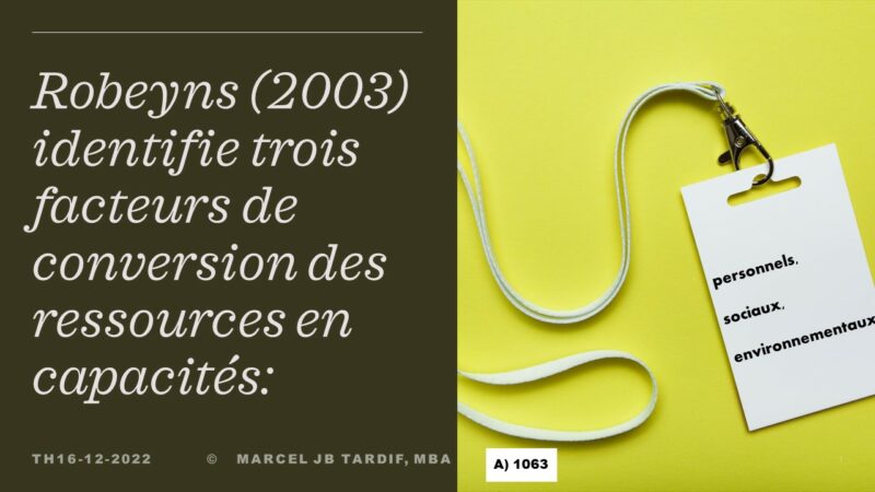 Robeyns (2003) identifie trois facteurs de conversion des ressources en ...
