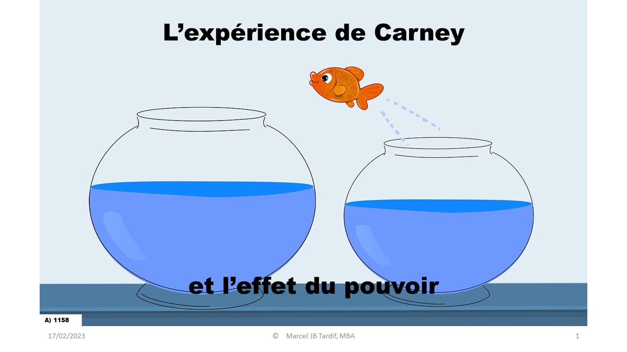 You are currently viewing <strong>L’expérience de Carney</strong>