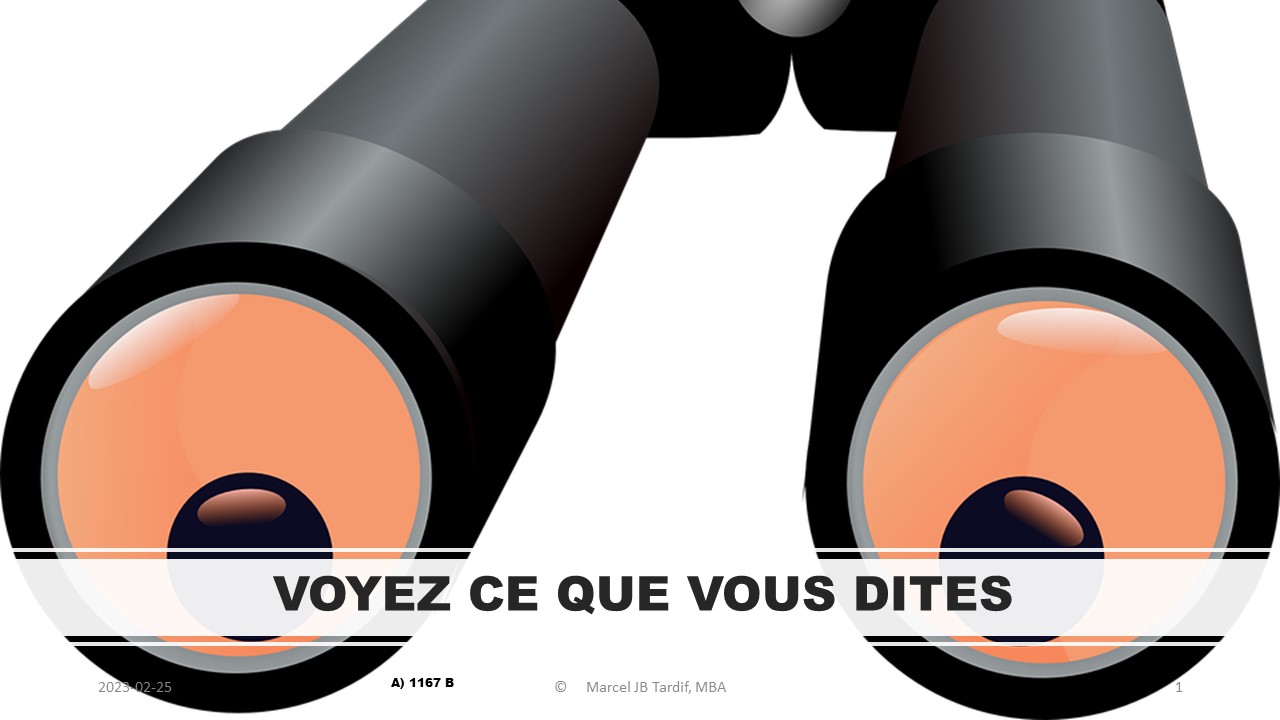 You are currently viewing <strong>Voyez ce que vous dites</strong>