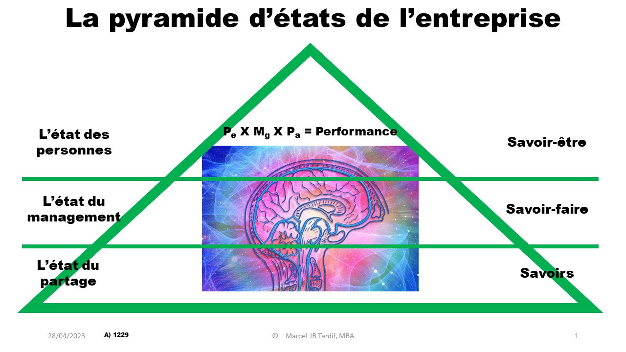 You are currently viewing La pyramide d’états de l’entreprise