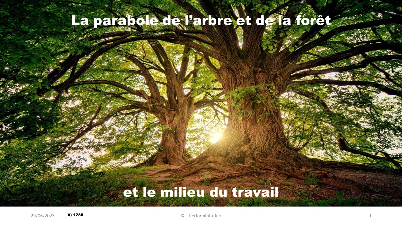 You are currently viewing La parabole de l’arbre et de la forêt